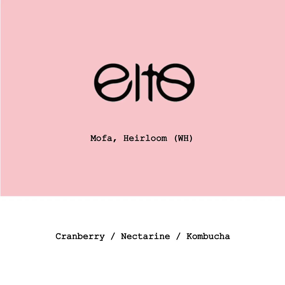 Ethiopia Elto Coffee-Mofa Heirloom Washed honey