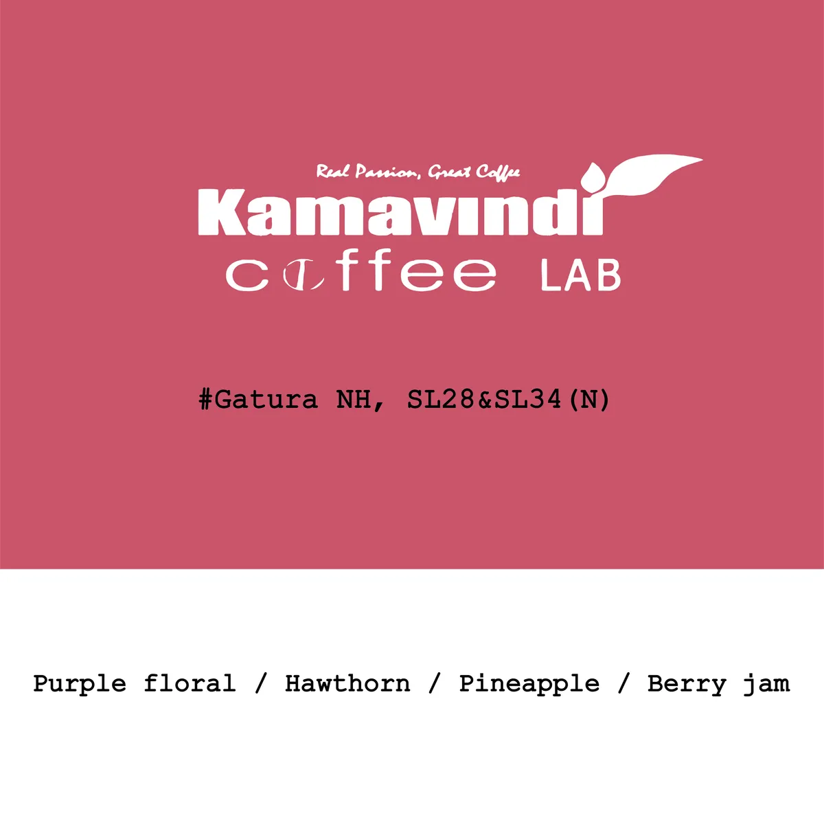 Kenya Kamavindi-Gatura station SL28&SL34 Slow dry natural