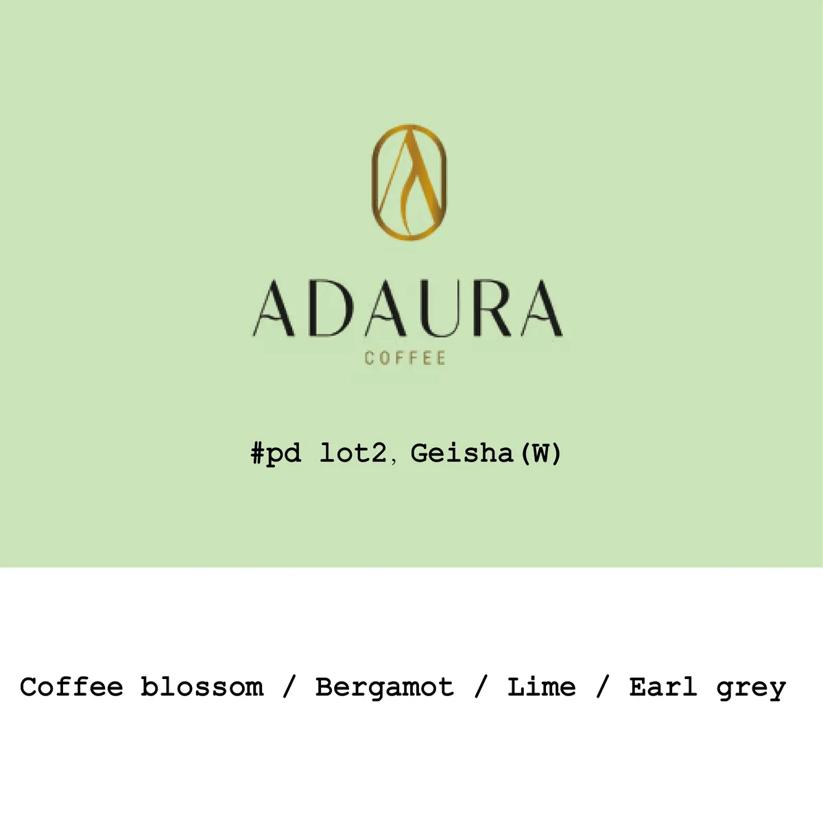 Panama Adaura CoffeeFinca Lorayne Geisha Mossto washed Pd Lot2