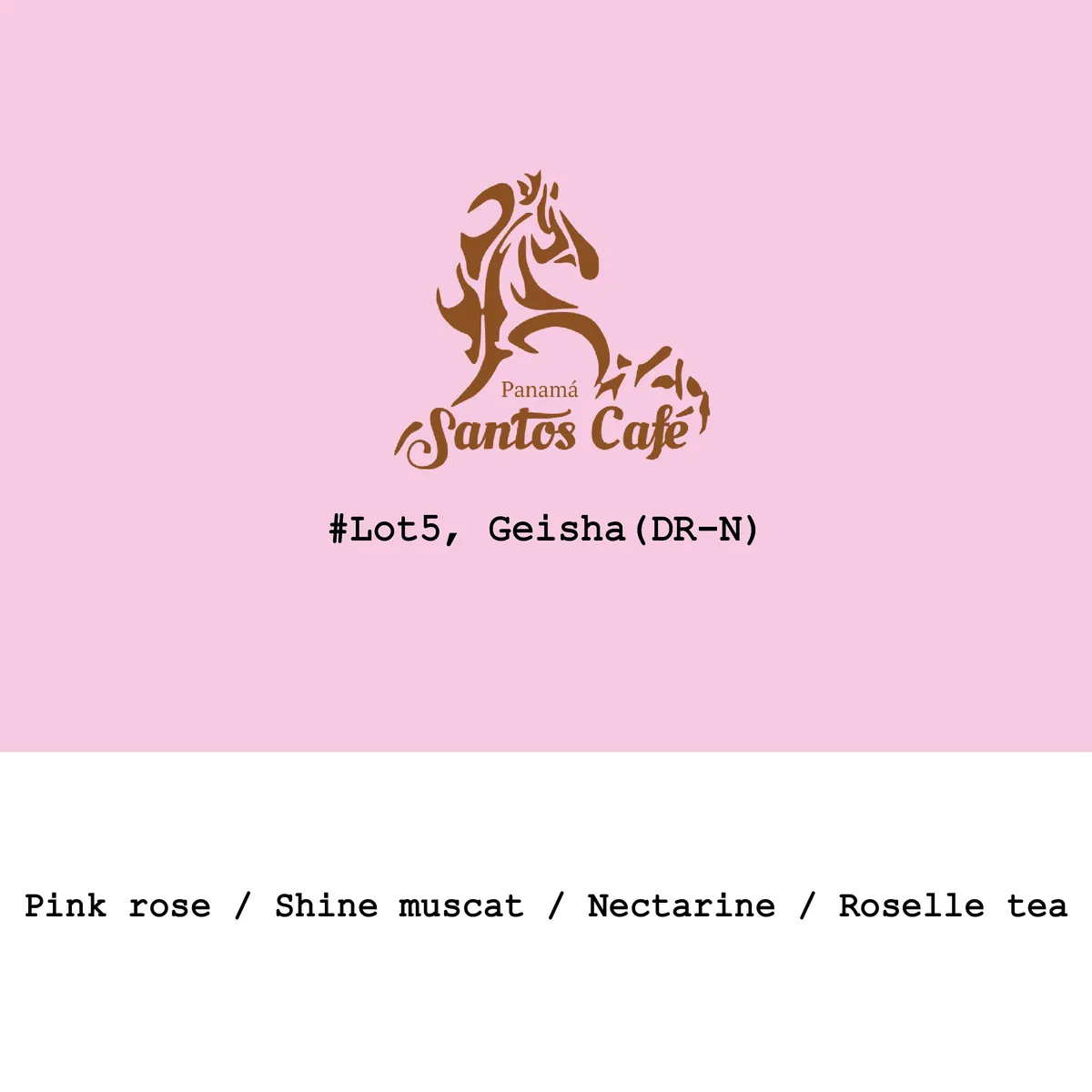 Panama Santos café-La Mimada Lot5 Geisha Dark-room natural