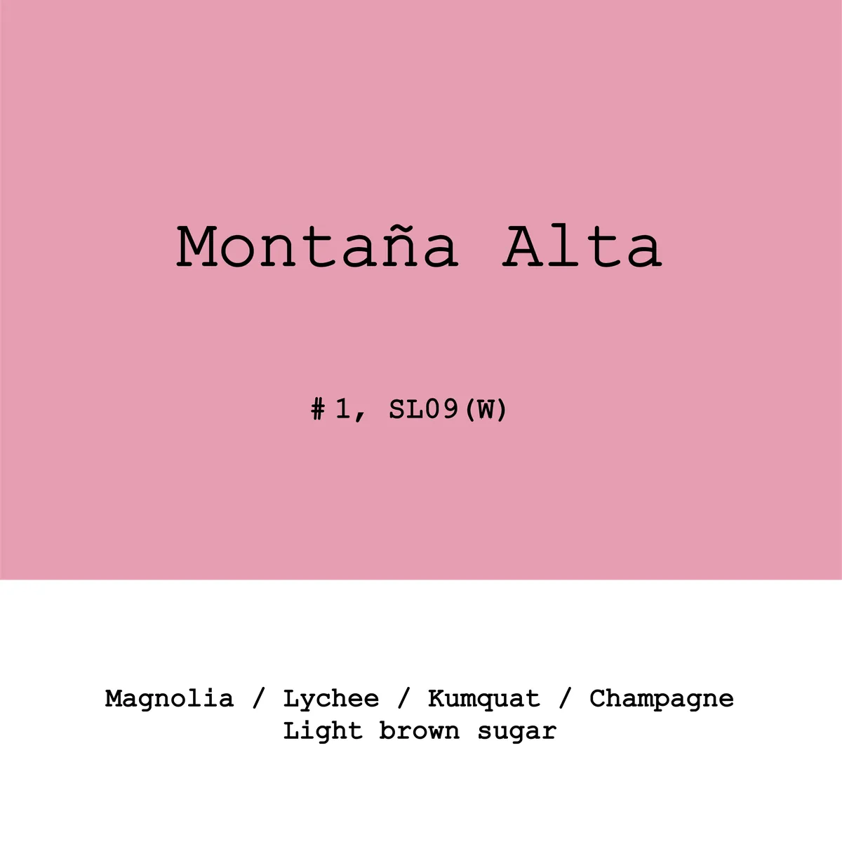 Peru Montaña Alta SL09 Lot1 Washed