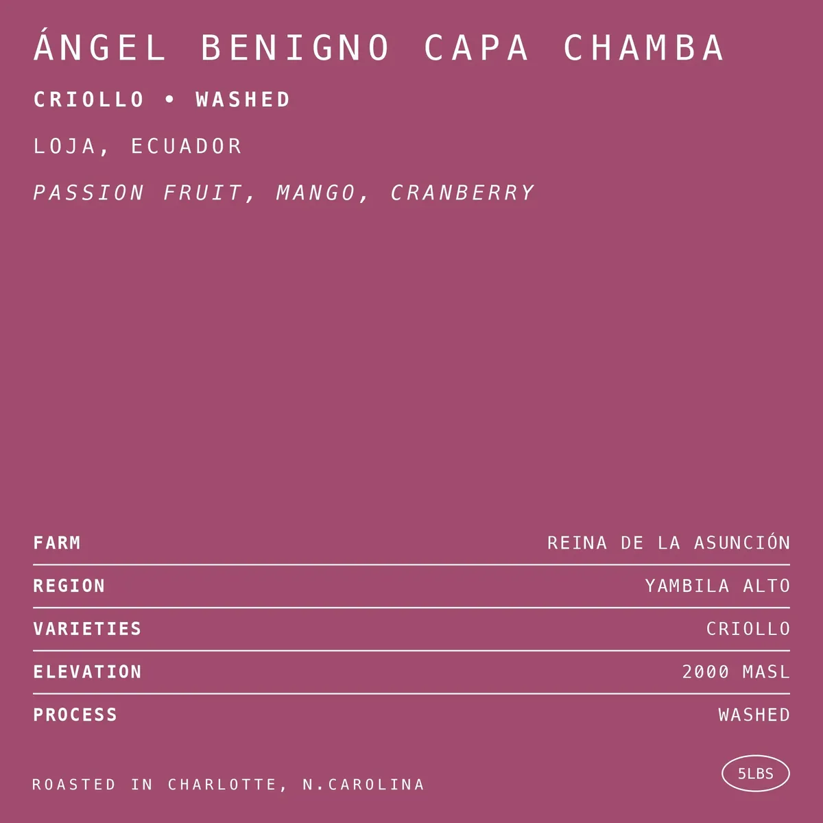 Ángel Benigno Capa Chamba Criollo • Washed