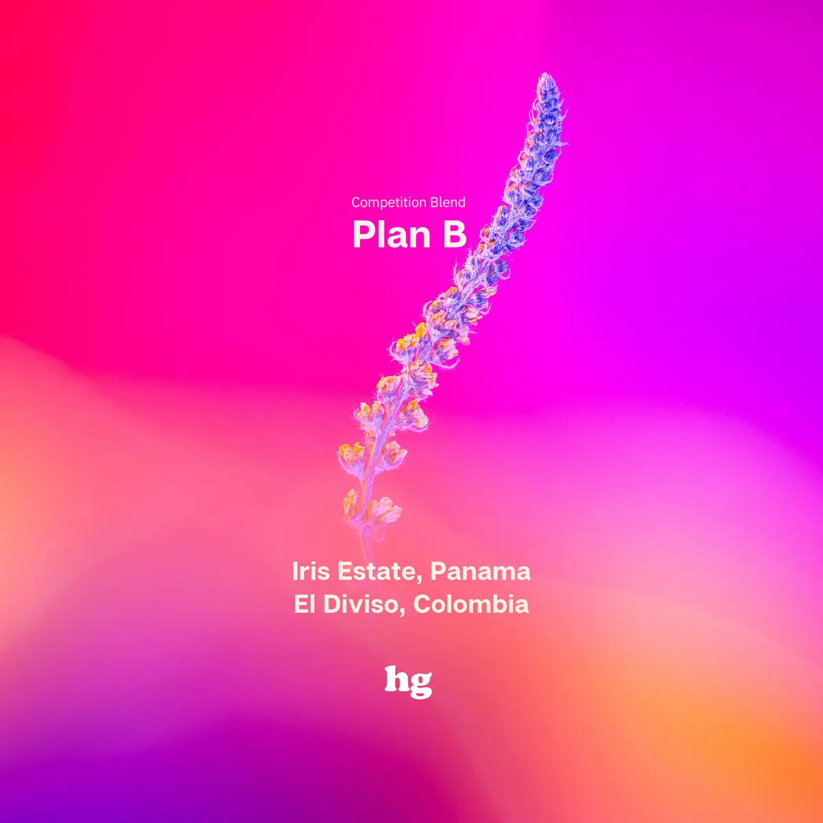 Ho Ming's Competition Blend - Plan B