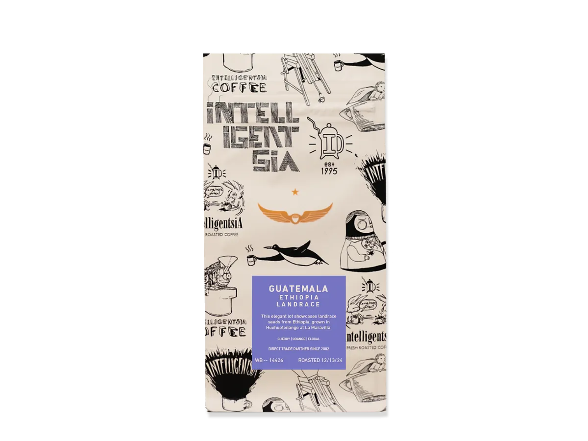 Guatemala Ethiopia Landrace