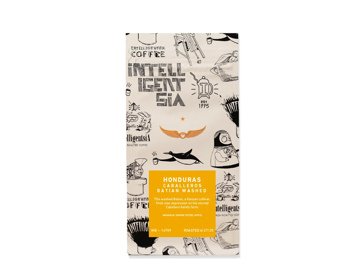 Honduras Caballeros Batian Washed