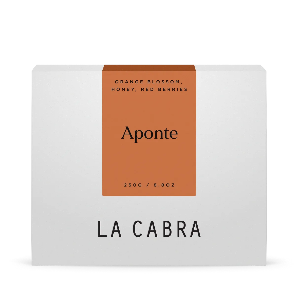 Aponte