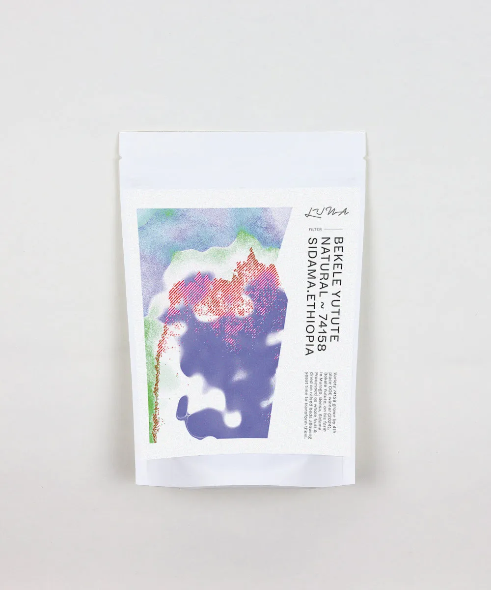 Bekele Yutute ~ Natural | Sidama, Ethiopia (2024)