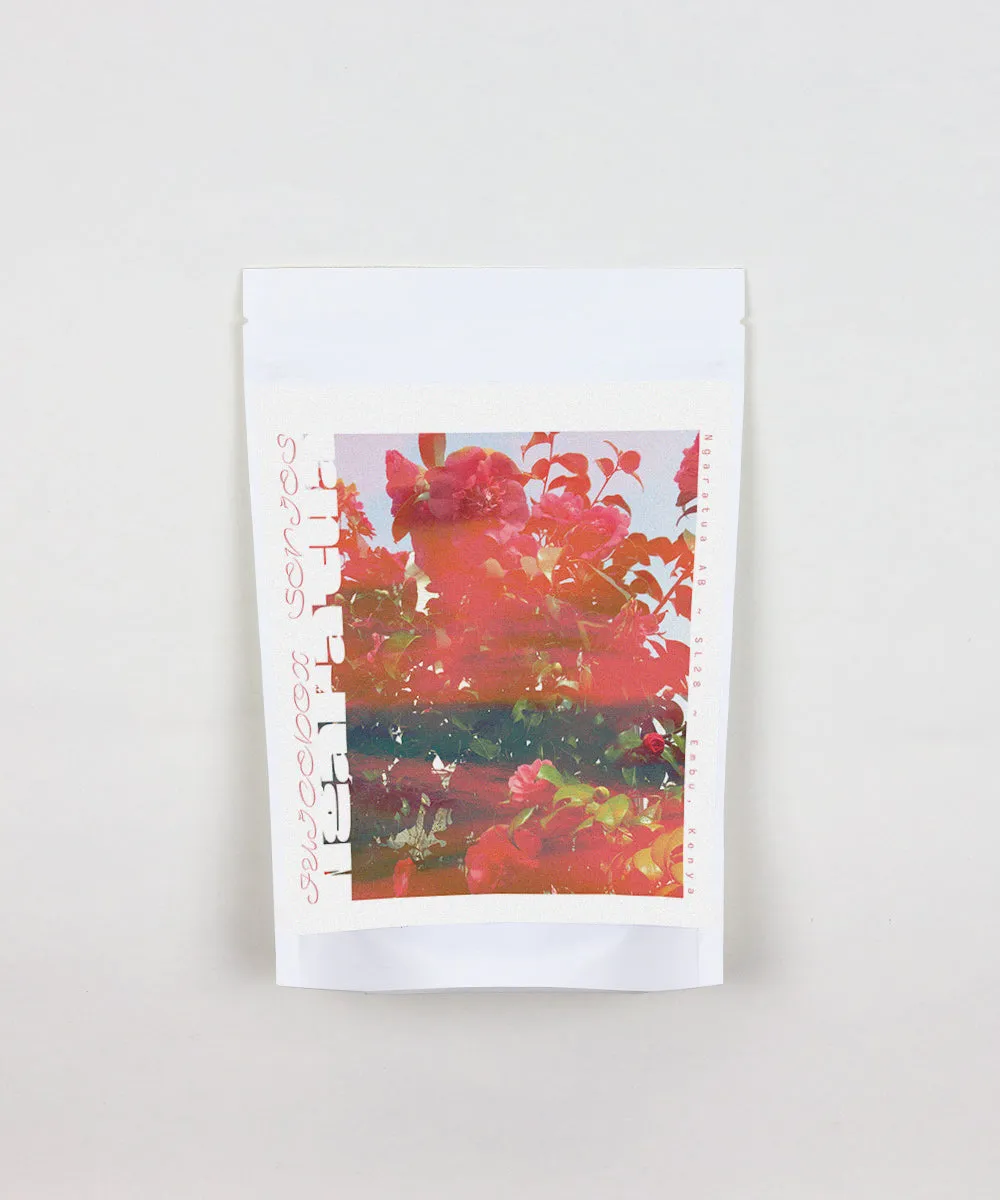 Juicebox Series - Ngaratua AB from Embu, Kenya (2022)