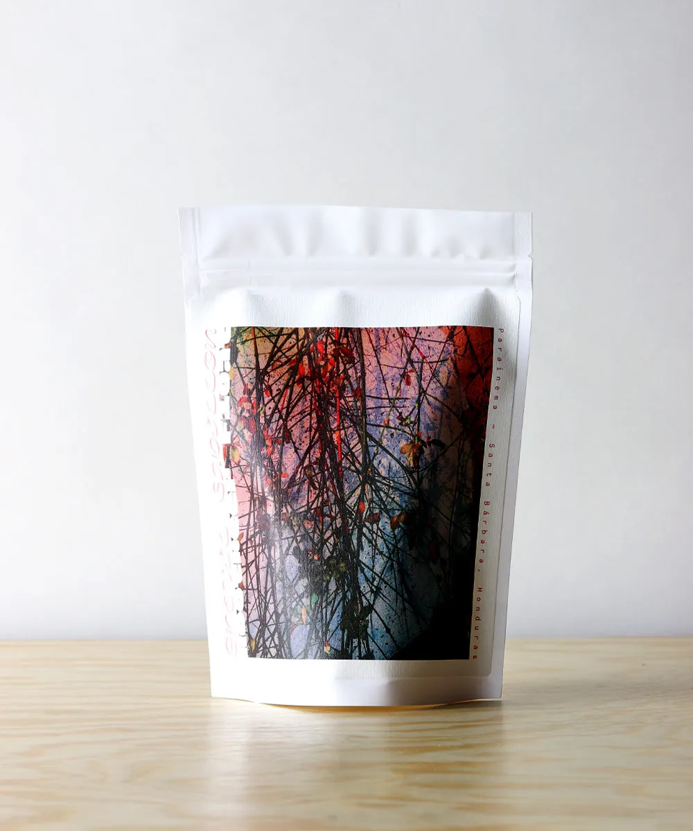 Rootbeer Float – Parainema by Grevil Sabillon in Santa Bárbara, Honduras (2023)