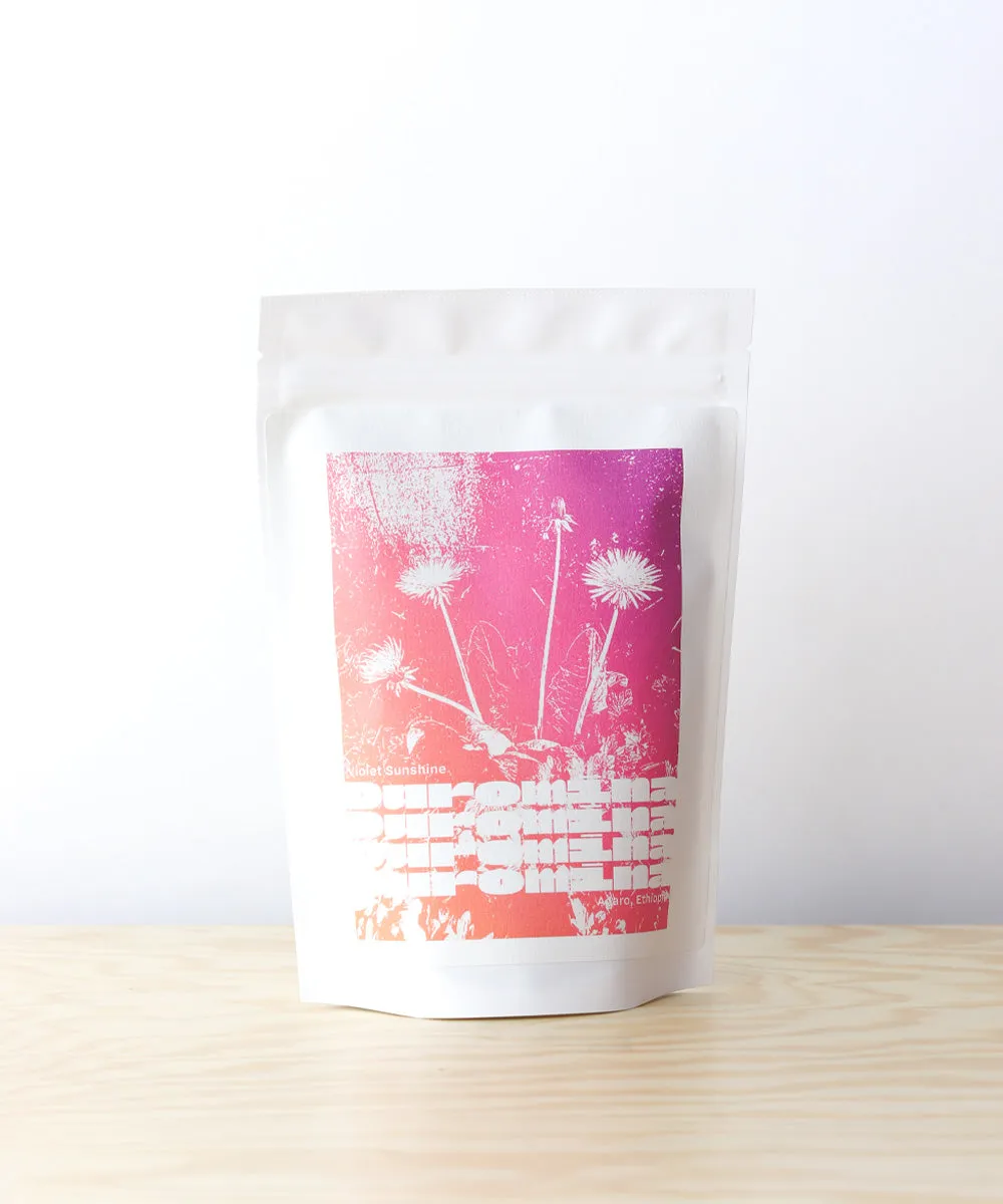 Violet Sunshine ~ local landraces from Duromina in Agaro, Ethiopia