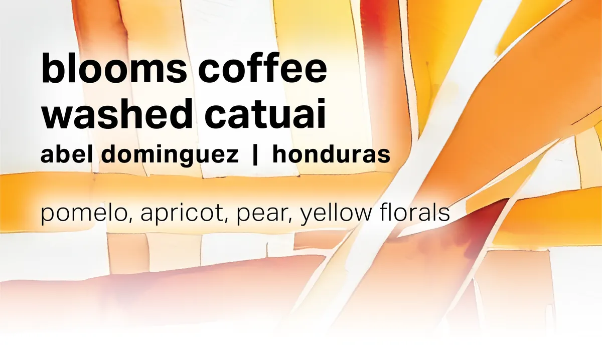 Abel Dominguez Blooms Coffee - Washed Catuai - Honduras