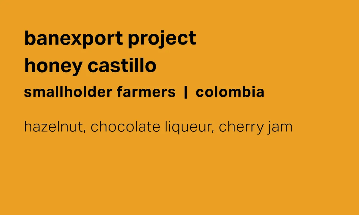 Banexport Project - Smallholder Farmers - Honey Castillo - Colombia