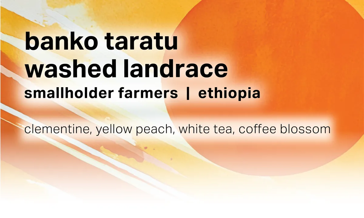 Banko Taratu - Smallholder Farmers - Washed Landrace - Ethiopia