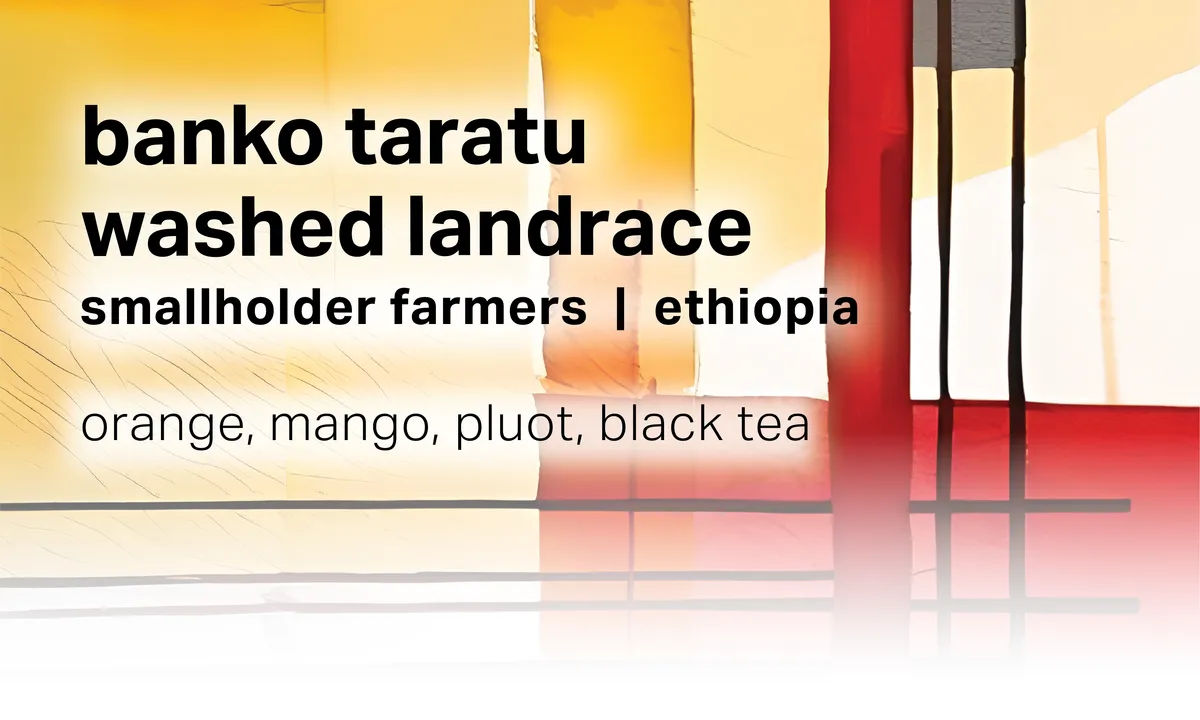 Banko Taratu Smallholder Farmers - Washed Landrace - Ethiopia