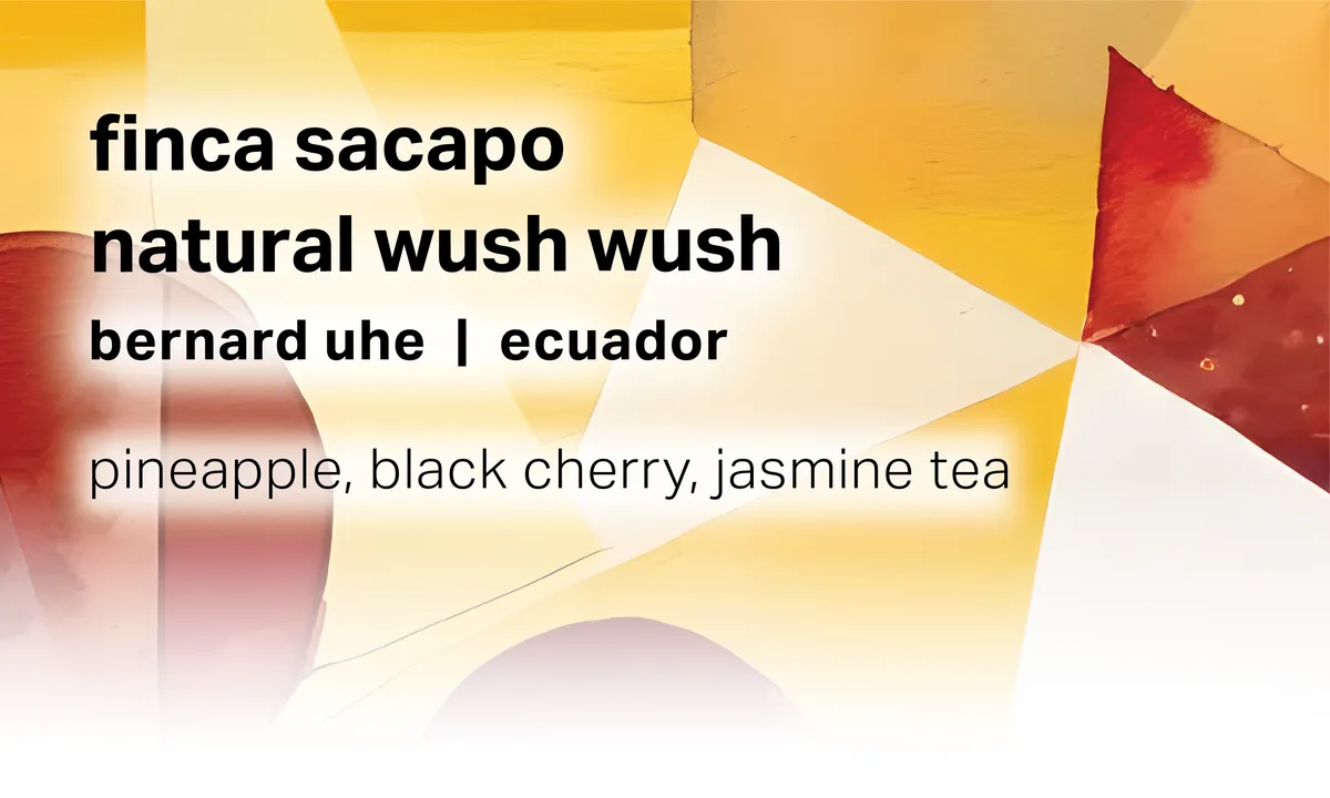 Bernard Uhe Finca Sacapo - Natural Wush Wush - Ecuador