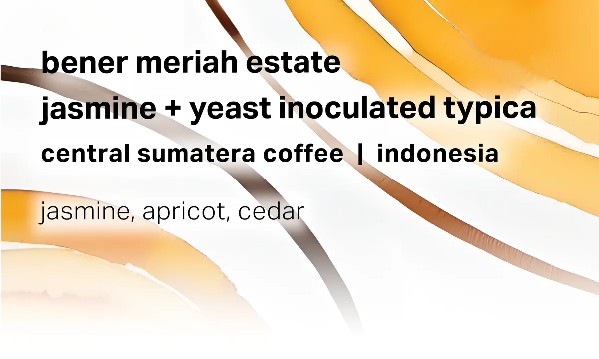 Central Sumatera Coffee Bener Meriah Estate - Jasmine + Yeast Inoculated Wet-Hulled Typica - Indonesia
