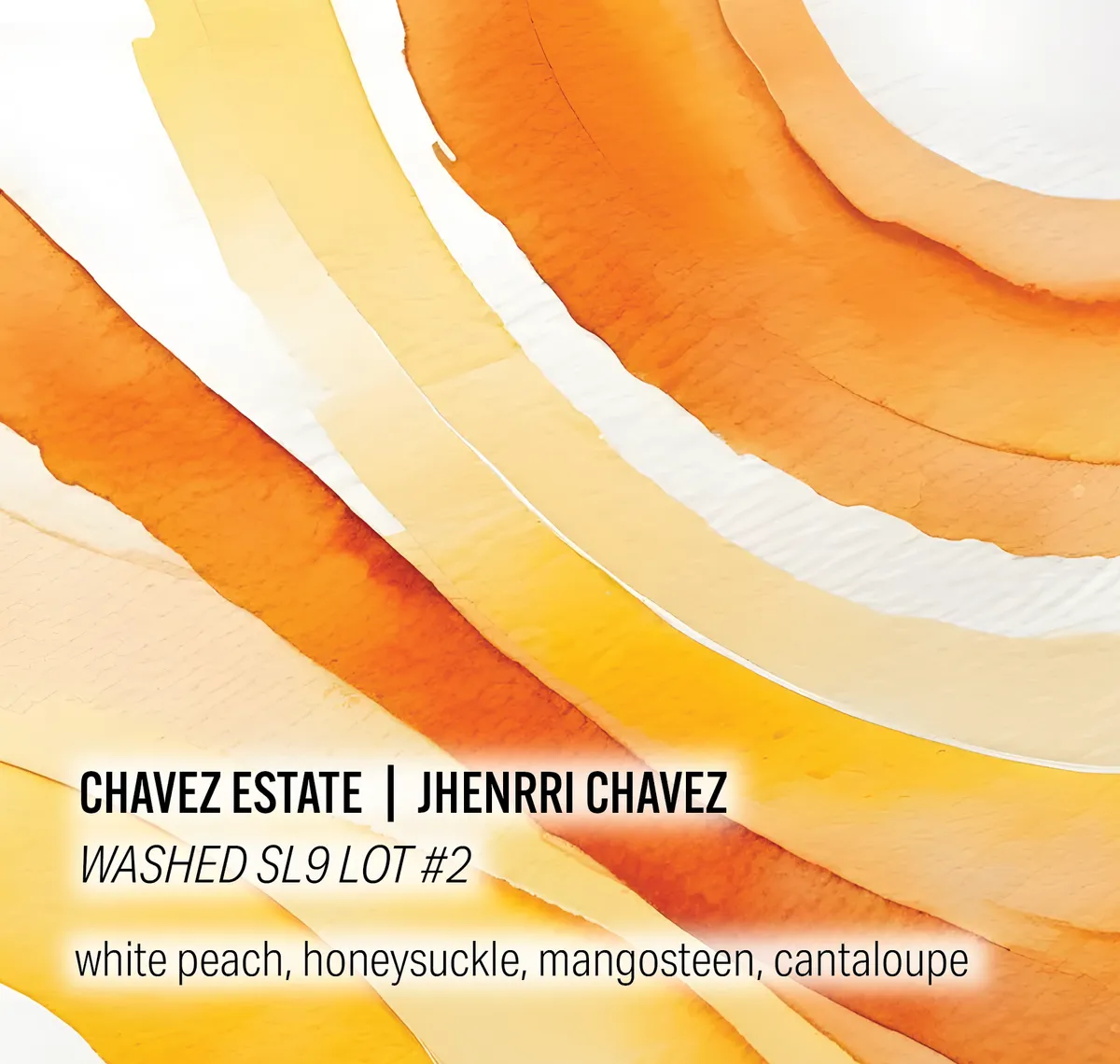 Chavez Estate Lot #2 - Jhenrri Chavez - Washed SL9 - Peru