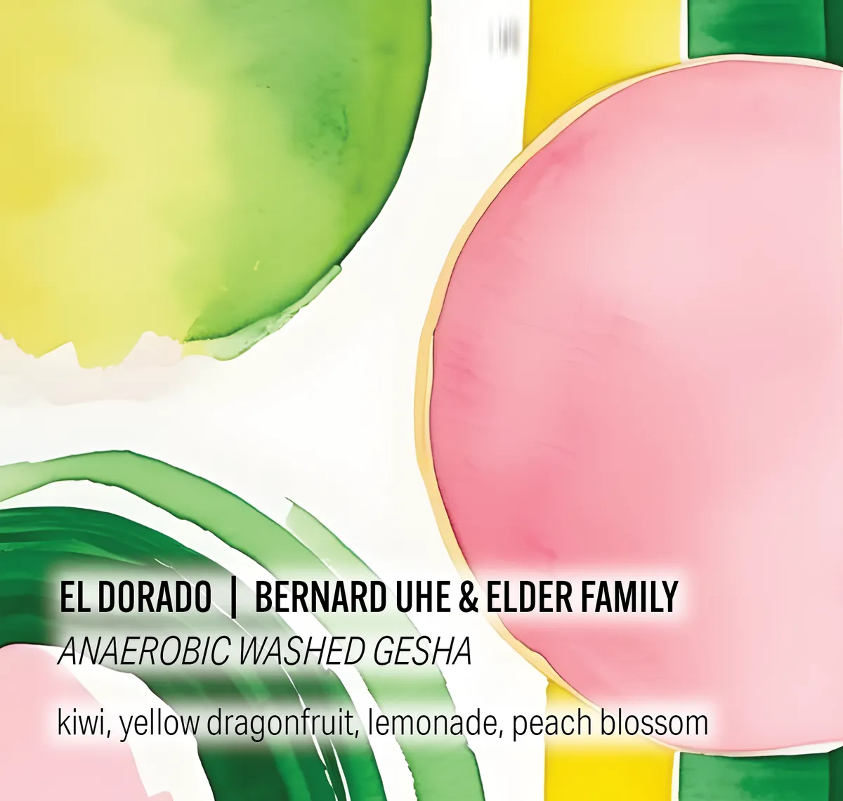 El Dorado - Bernard Uhe & Elder Family - Anaerobic Washed Gesha - Ecuador