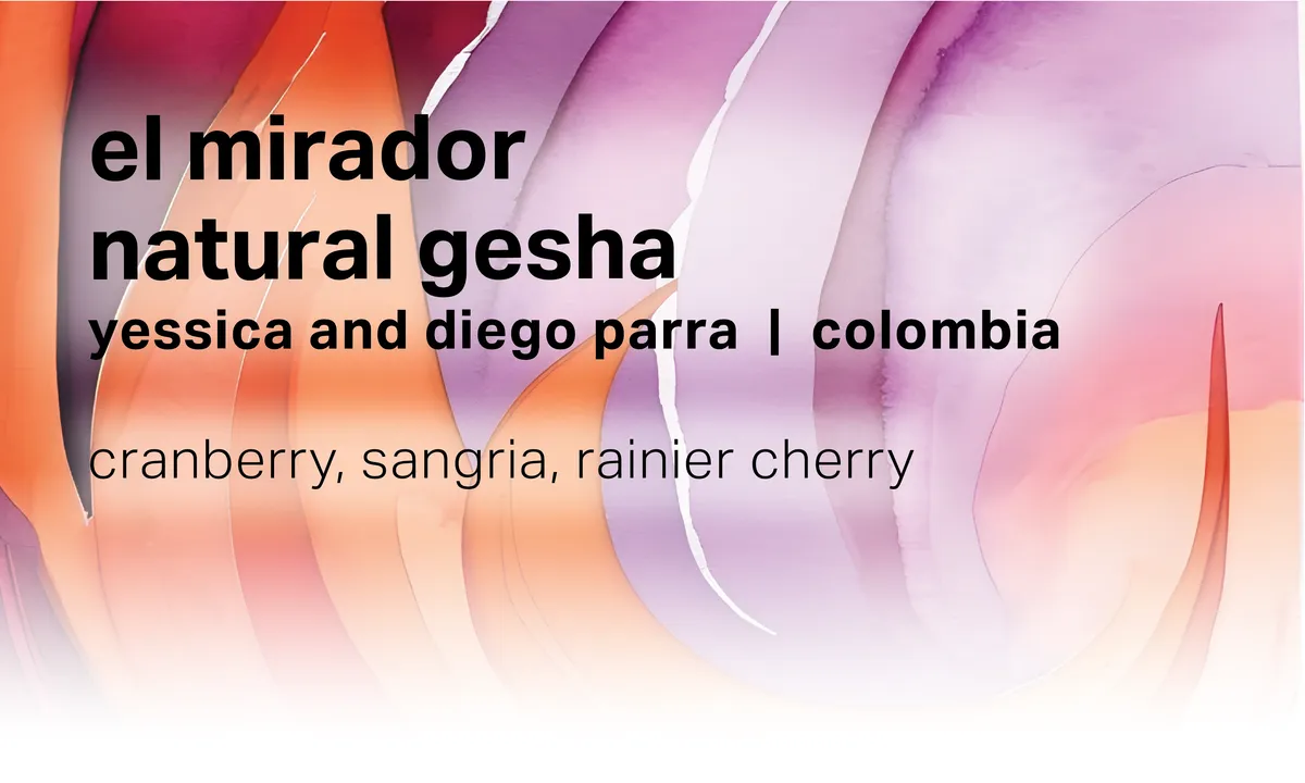 El Mirador Yessica and Diego Parra - Natural Gesha - Colombia