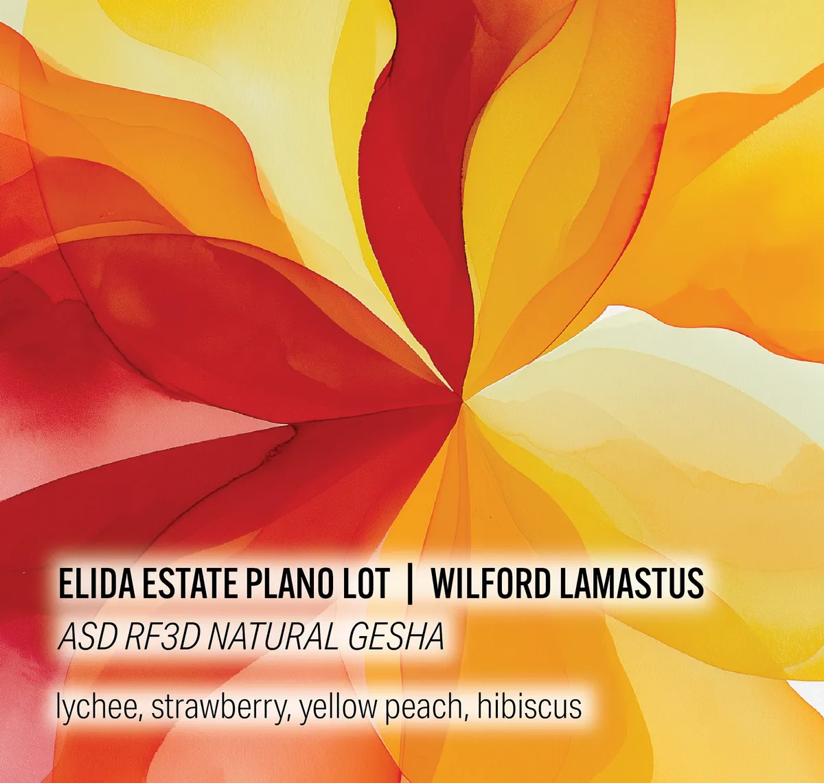 Elida Estate Plano Lot - Wilford Lamastus - ASD RF3D Natural Gesha - Panama