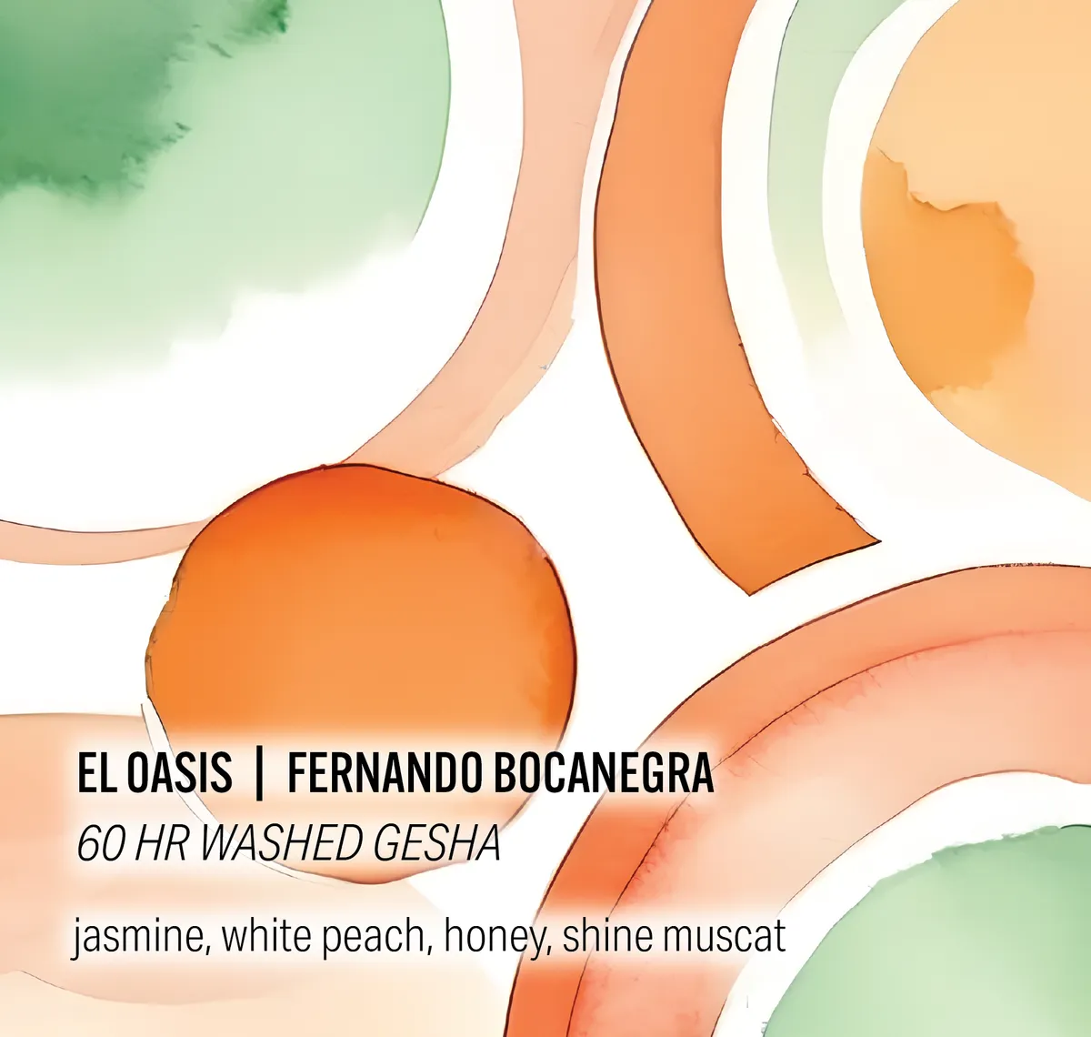 Fernando Bocanegra El Oasis - 60hr Washed Gesha - Colombia