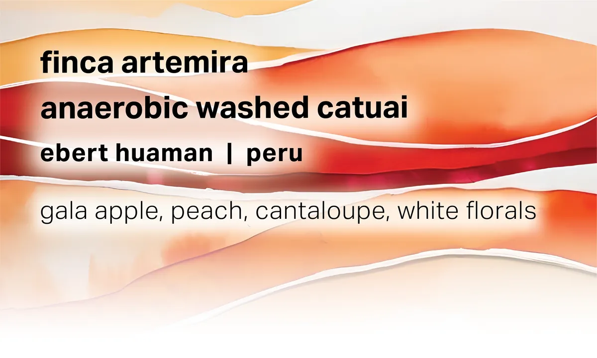 Finca Artemira - Ebert Huaman - Anaerobic Washed Catuai - Peru