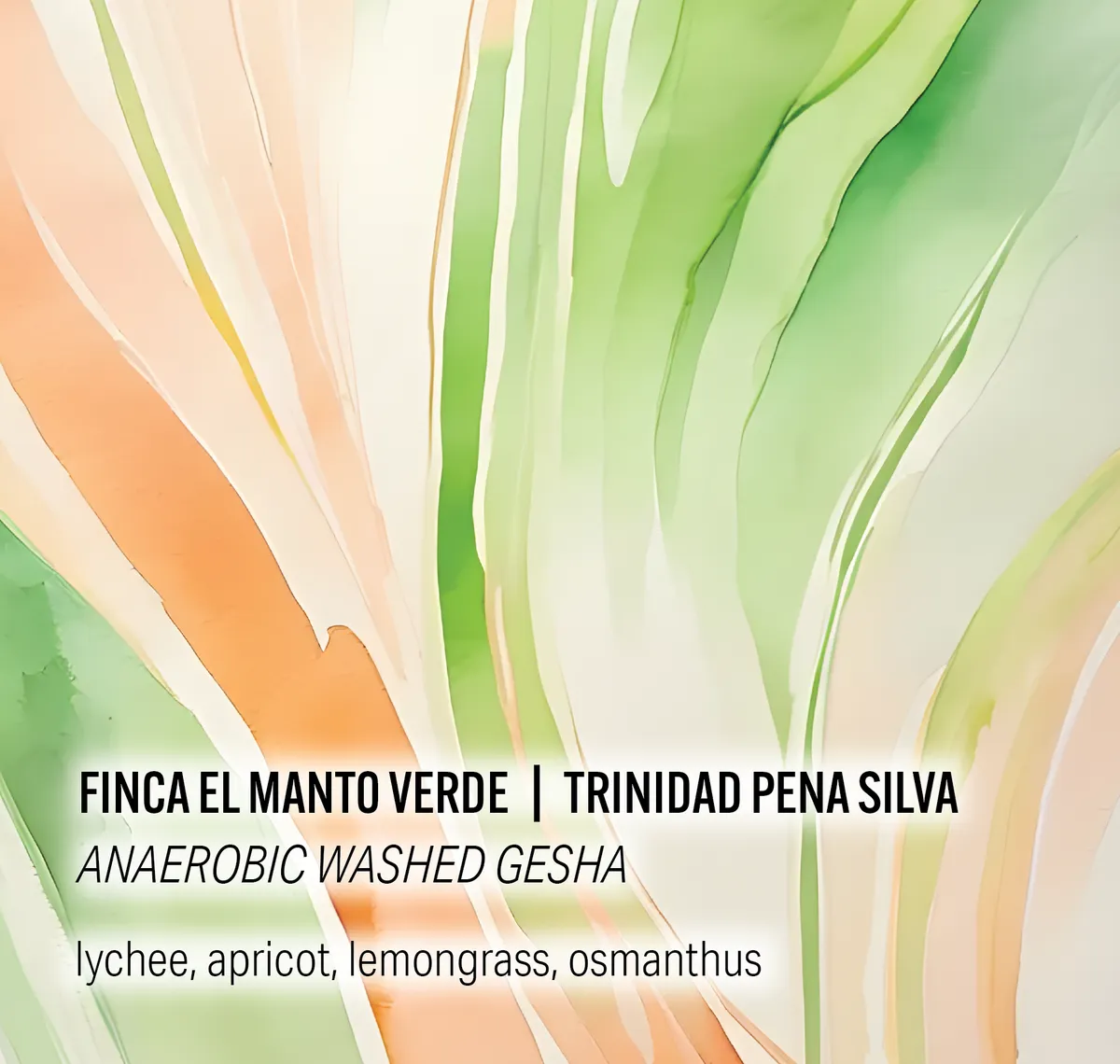 Finca El Manto Verde - Trinidad Pena Silva - Anaerobic Washed Gesha - Peru