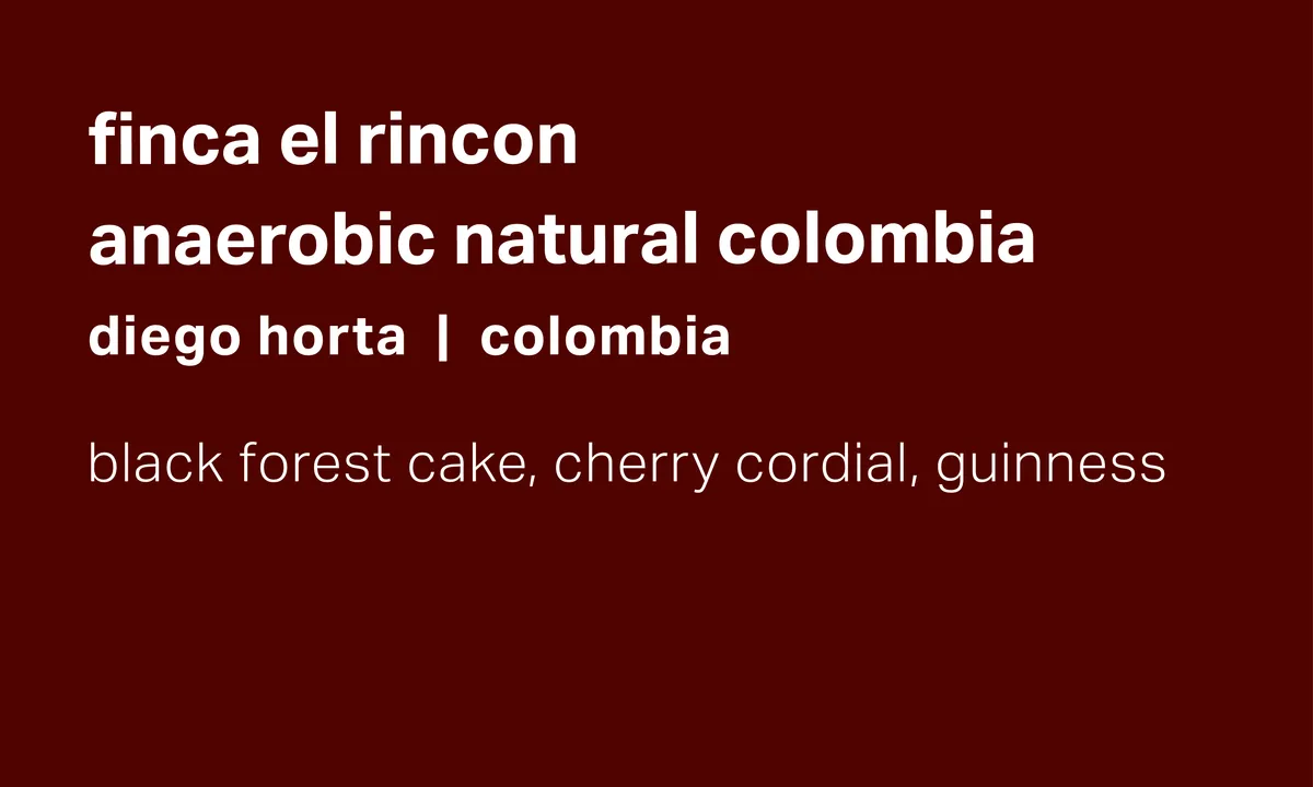 Finca El Rincon - Diego Horta - Anaerobic Natural Colombia - Colombia