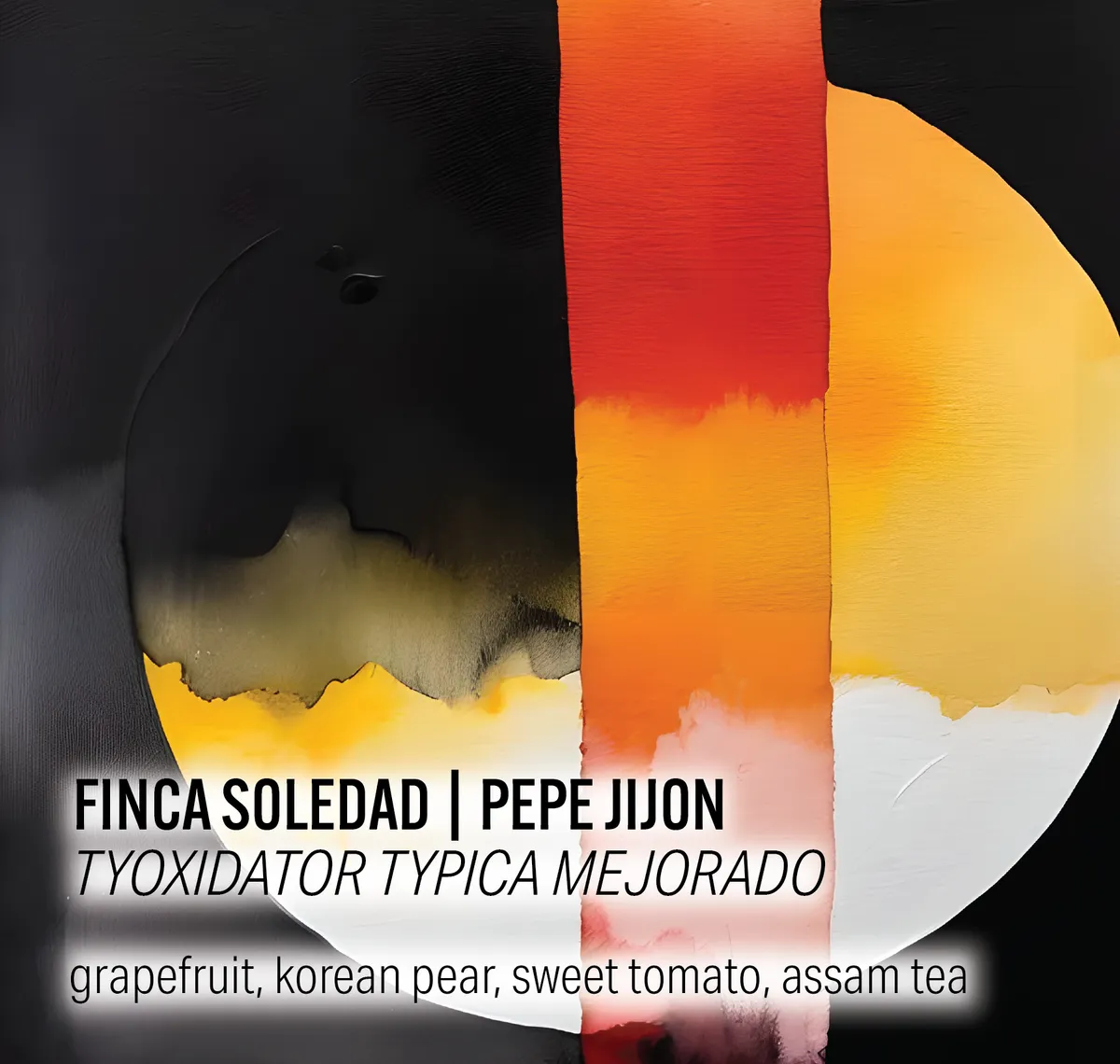 Finca Soledad - TyOxidator Typica Mejorado - Ecuador