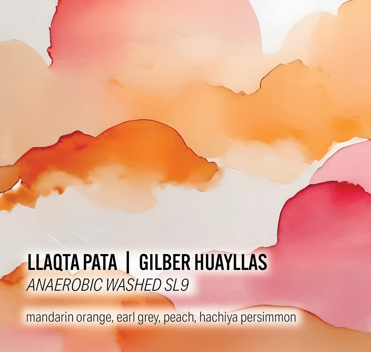 Gilber Huayllas Llaqta Pata - Anaerobic Washed SL9 - Peru