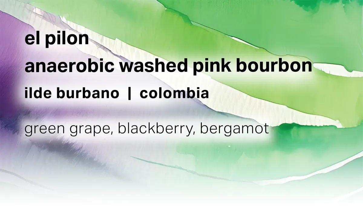 Ilde Burbano El Pilon - Anaerobic Washed Pink Bourbon - Colombia