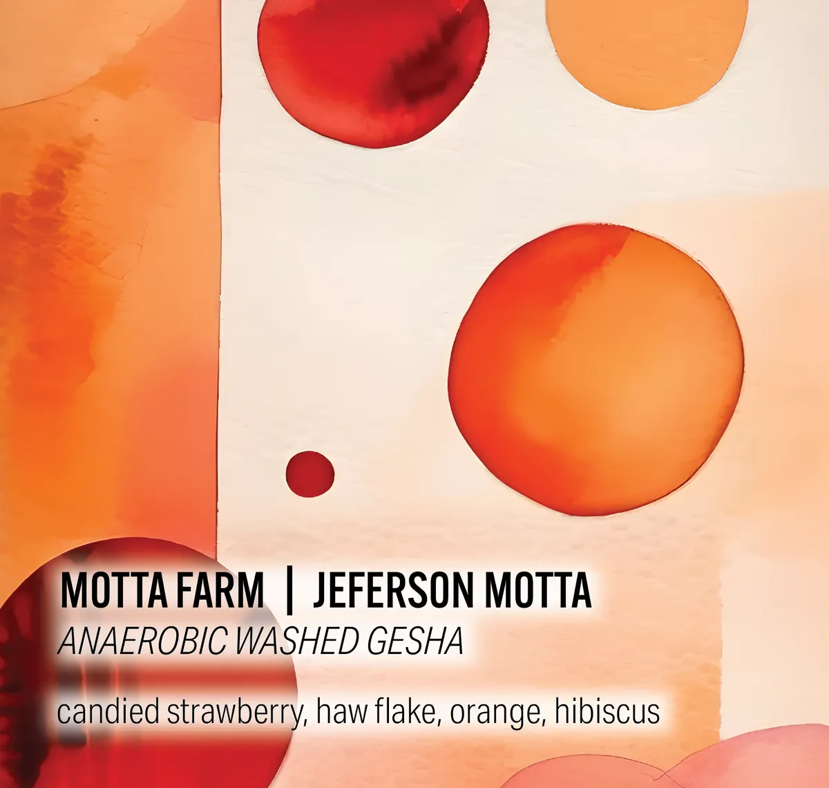 Jeferson Motta Motta Farm - Anaerobic Washed Gesha - Colombia