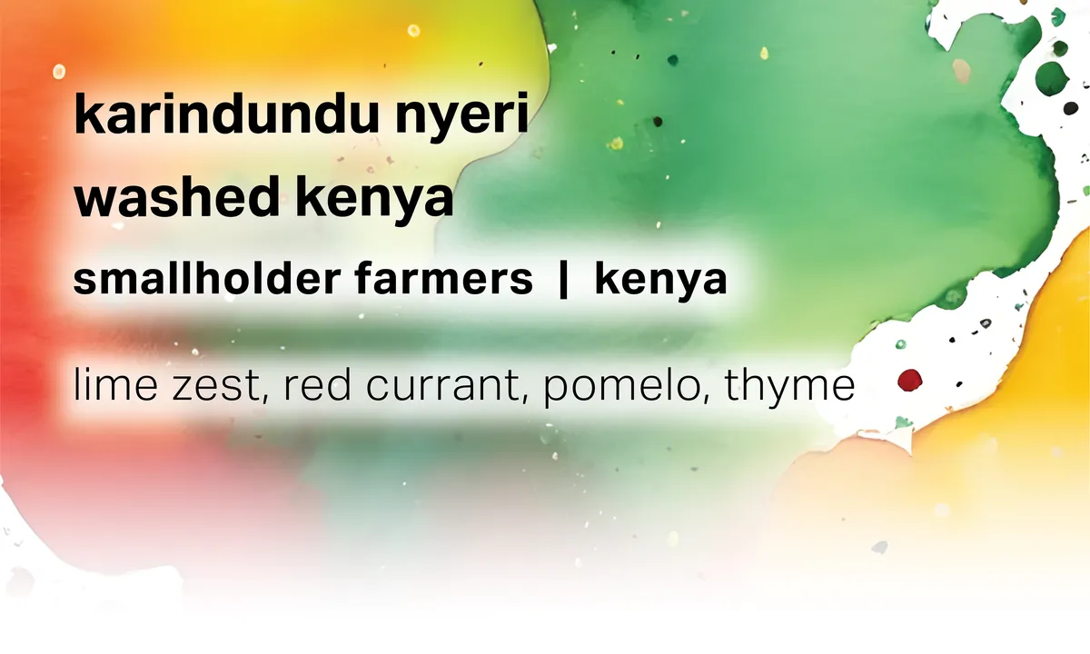 Karindundu Nyeri - Smallholder Farmers - Washed Kenya - Kenya