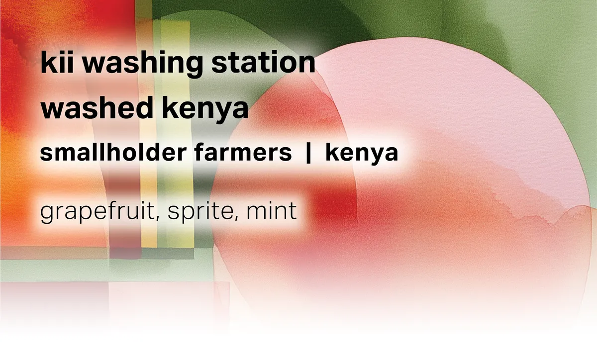Kii Washing Station - Smallholder Farmers - Washed Kenya - Kenya