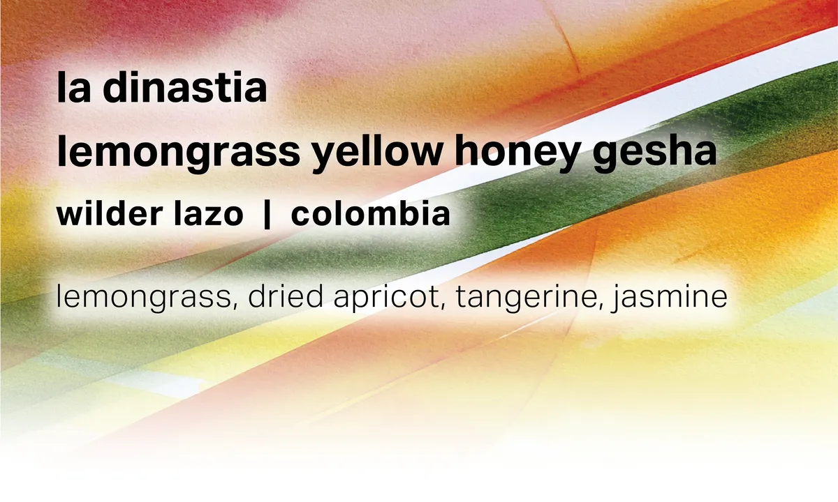La Dinastia - Wilder Lazo - Lemongrass Yellow Honey Gesha - Colombia