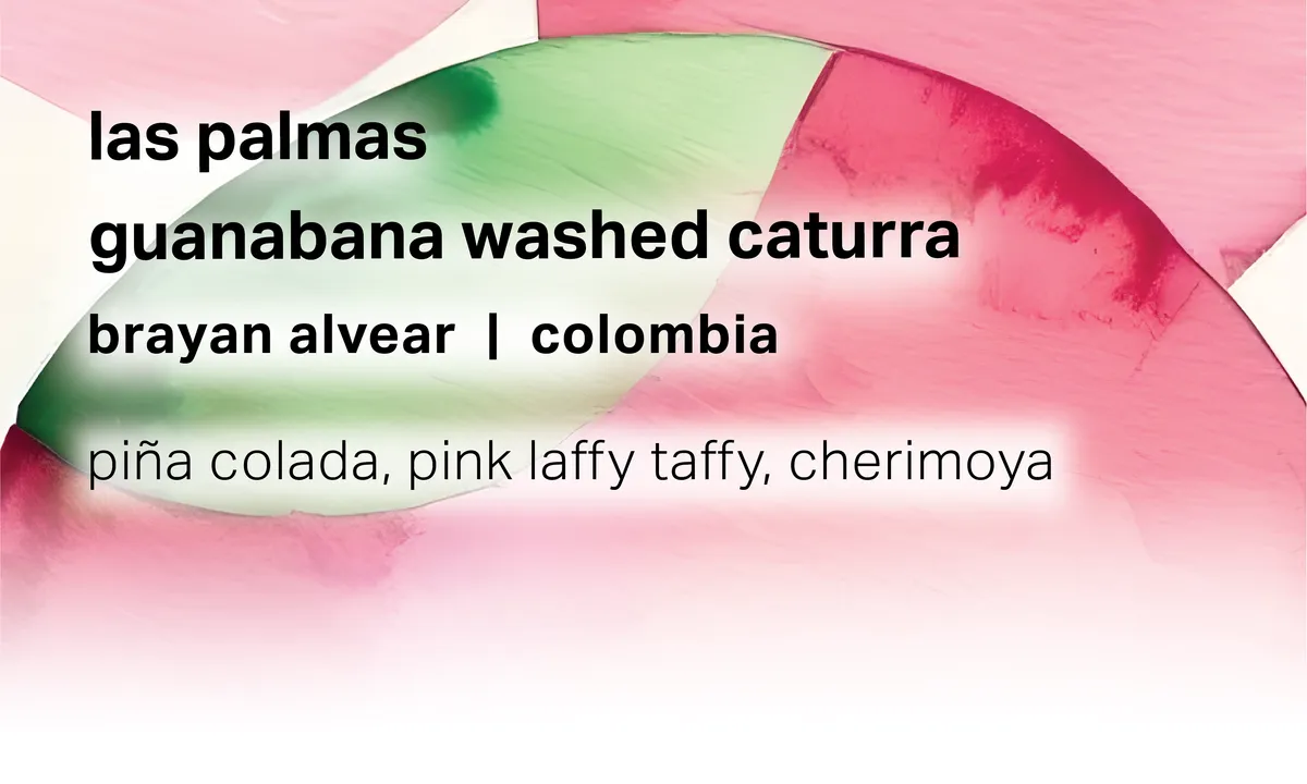 Las Palmas Brayan Alvear - Guanabana Washed Caturra - Colombia