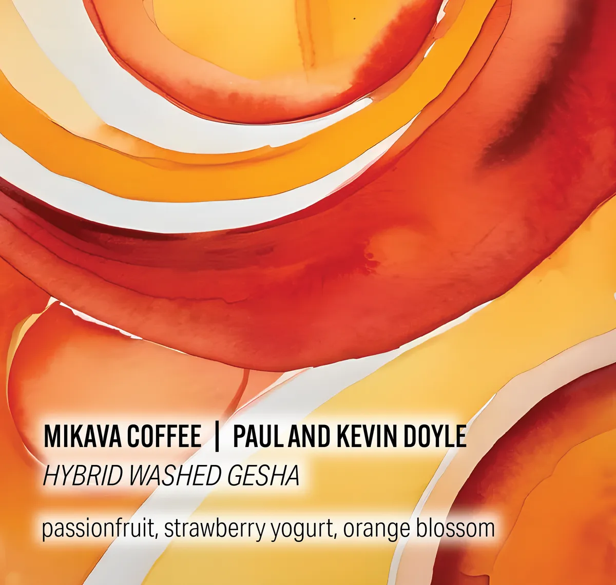 Mikava Coffee - Paul and Kevin Doyle - Hybrid Washed Gesha - Colombia