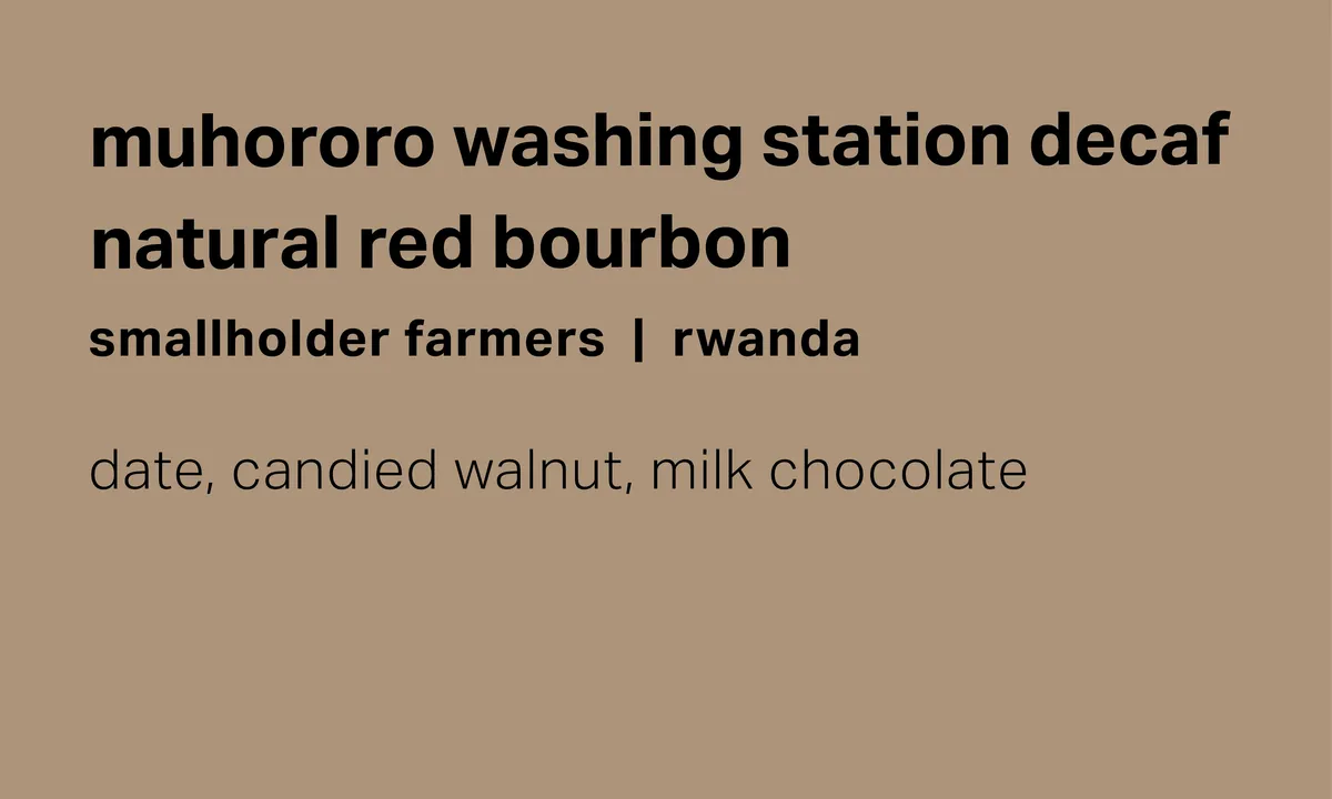 Muhororo Washing Station - Smallholder Farmers - Swiss Water Process Decaf Natural Red Bourbon - Rwanda