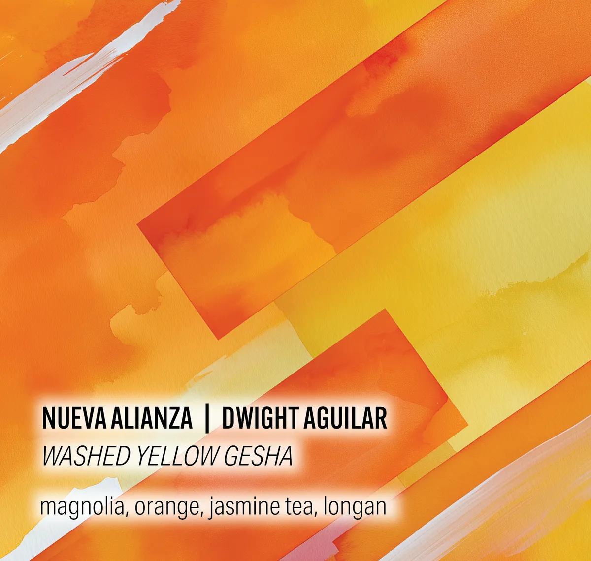 Nueva Alianza - Dwight Aguilar - Washed Yellow Gesha - Peru