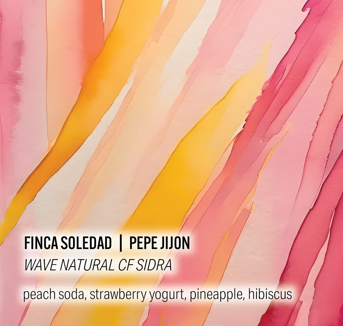 Pepe Jijon Finca Soledad - Wave Natural CF Sidra - Ecuador