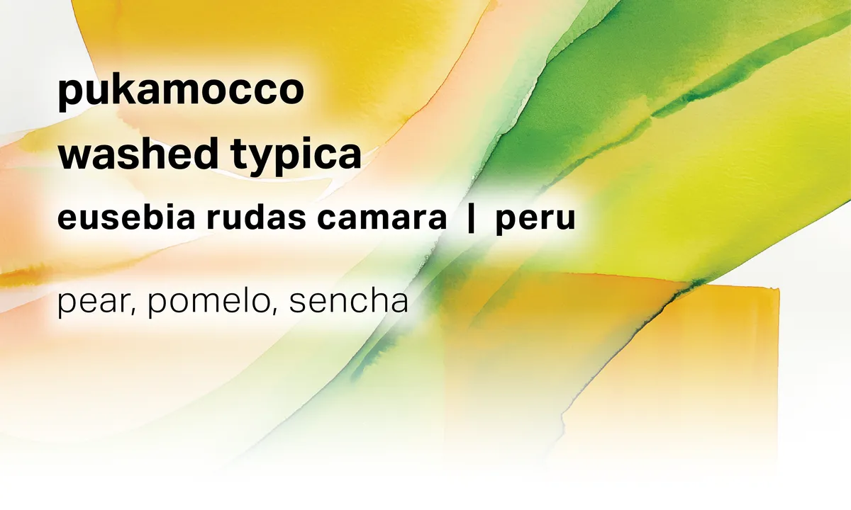Pukamocco - Eusebia Rudas Camara - Washed Typica - Peru