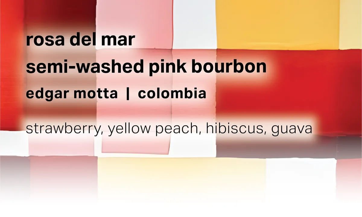 Rosa Del Mar - Edgar Motta - Semi-washed Pink Bourbon - Colombia