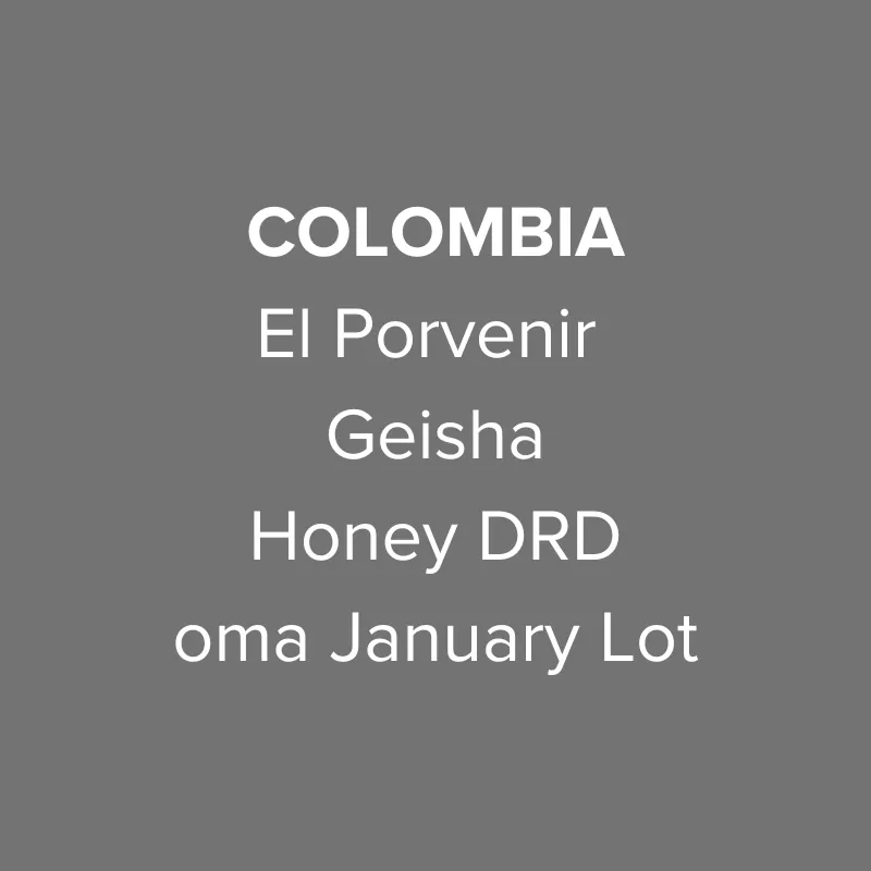Colombia El Porvenir Geisha Honey DRD oma January Lot