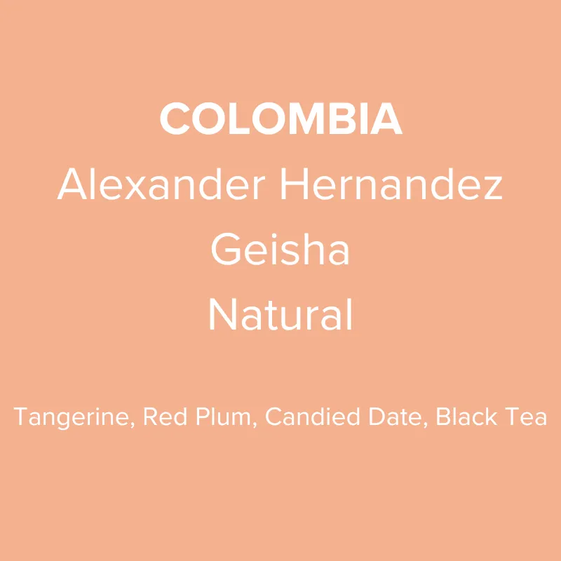 Colombia Huila Alexander Hernandez Geisha Natural