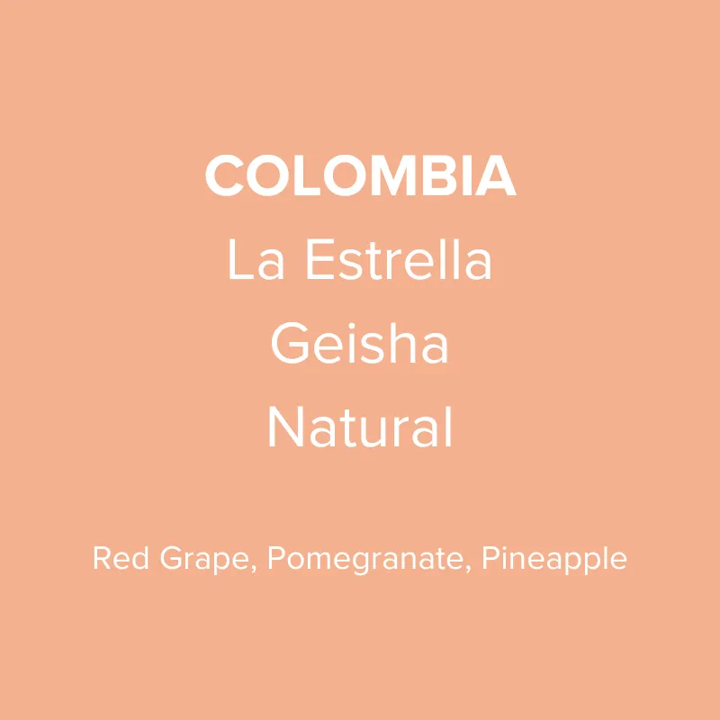 Colombia La Estrella Geisha Natural