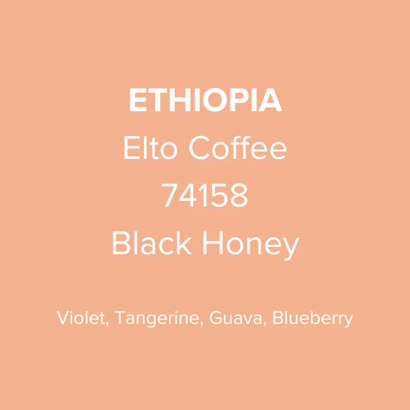 Ethiopia Elto Coffee Sidama Bare Station 74158 Black Honey