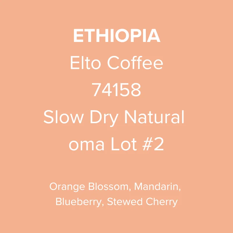 Ethiopia Elto Coffee Sidama Bare Station 74158 Slow Dry Natural oma Lot #2