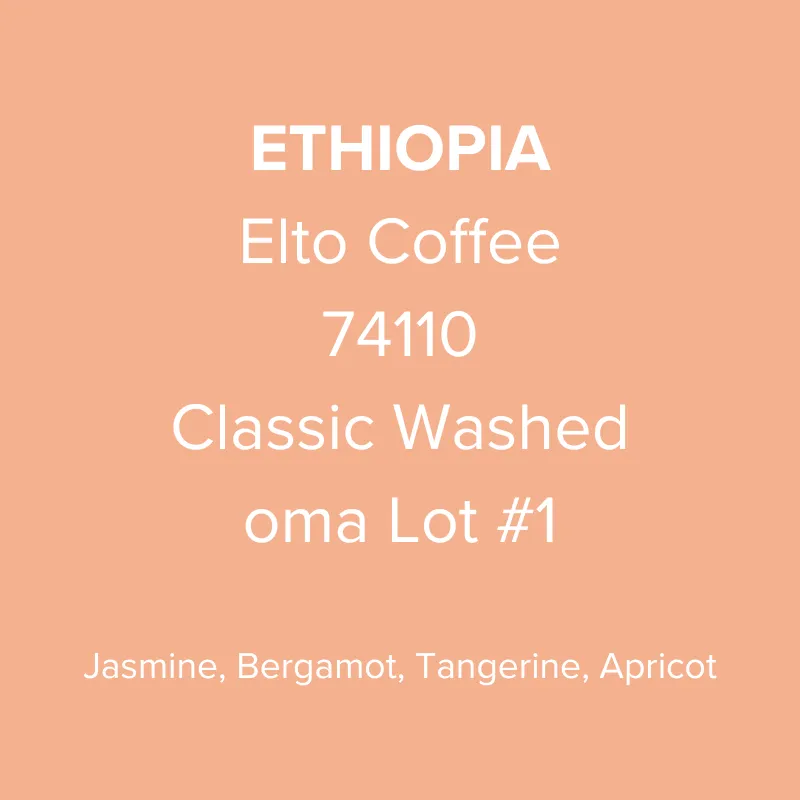 Ethiopia Elto Coffee Sidama Bona 74110 Classic Washed oma Lot #1