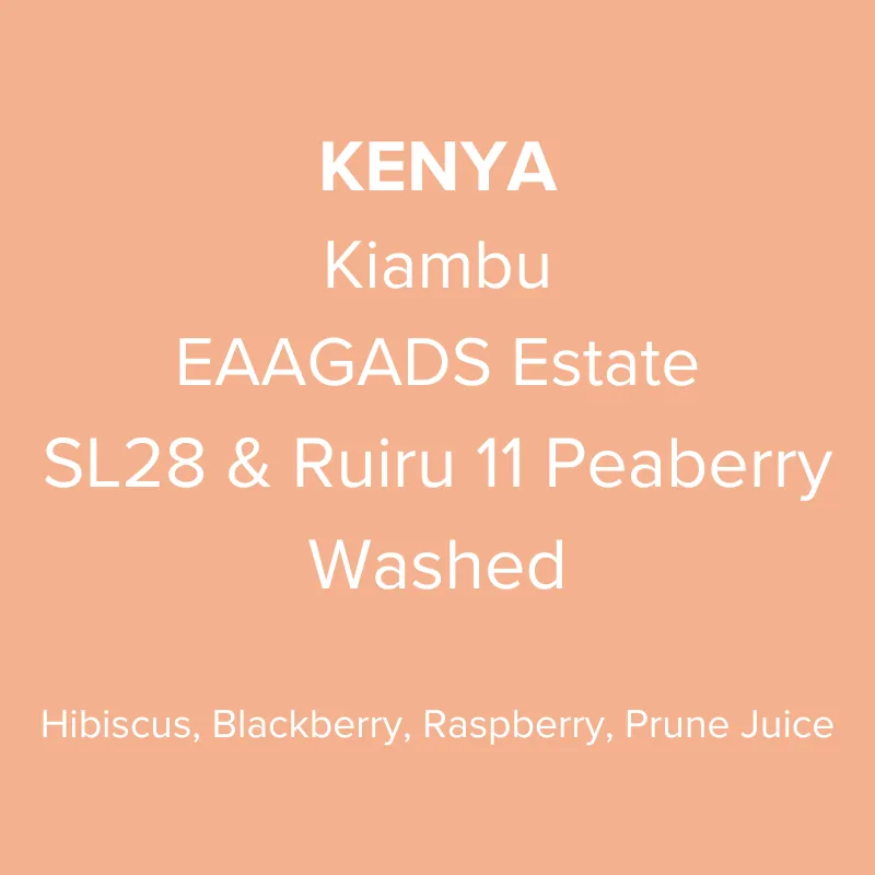 Kenya Kiambu EAAGADS Estate SL28 & Ruiru 11 Peaberry Washed PB TOP
