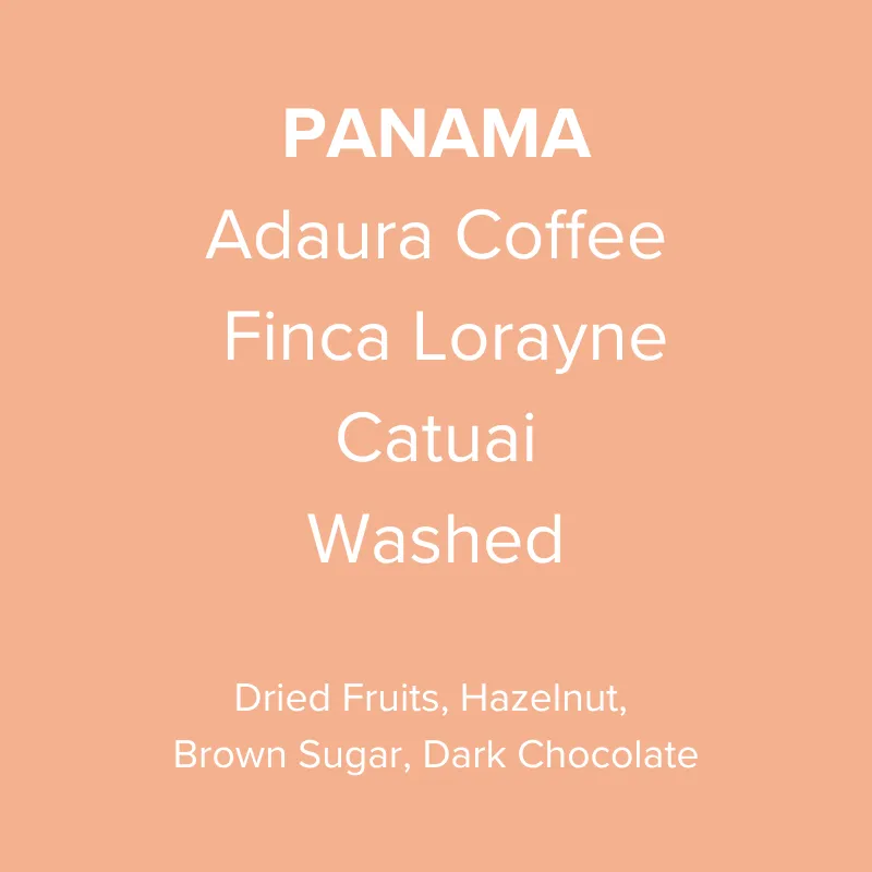 Panama Adaura Coffee Catuai Washed